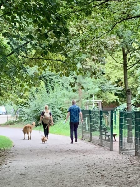 Parc à chiens Kurgarten — photo
