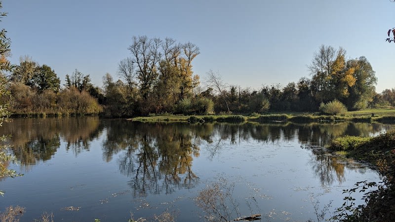 Réserve Naturelle de l'Île-du-Rohrschollen — photo