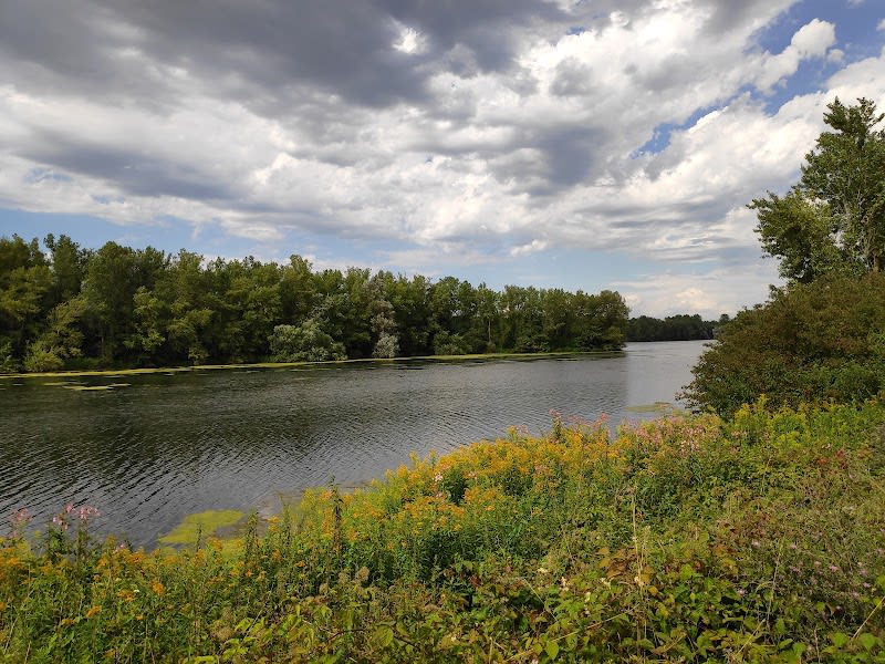 Réserve Naturelle de l'Île-du-Rohrschollen — photo