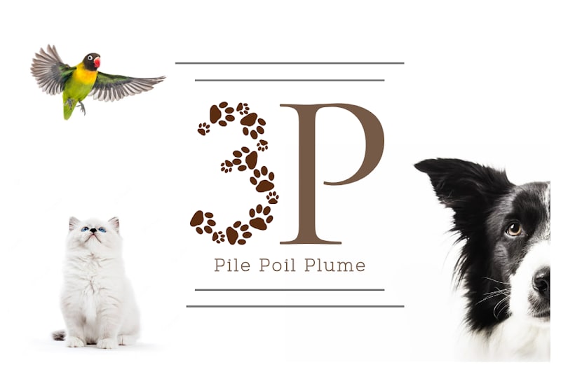 Pile Poil Plume | Petsitter Strasbourg — photo