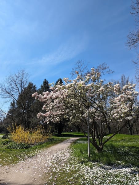 Parc Eugène Imbs — photo