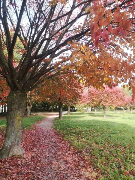Parc des Poteries — photo