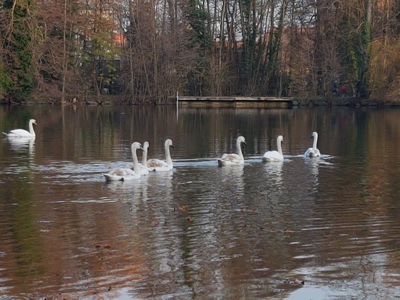 Parc Schulmeister — photo