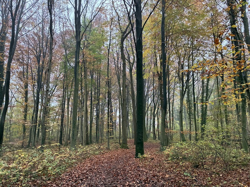 Parcours de santé — photo