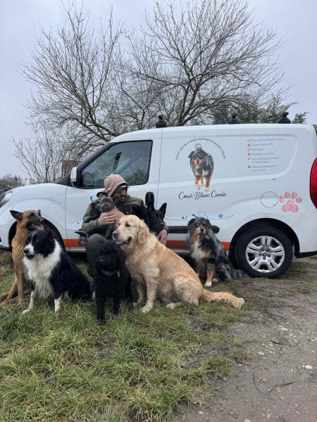 Education canine Coeur blanc canin — photo