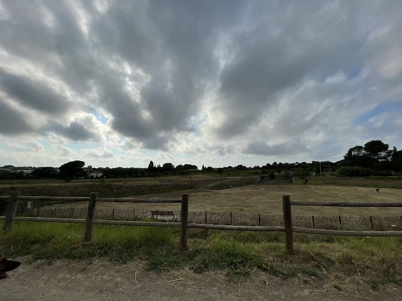 Parc chien — photo