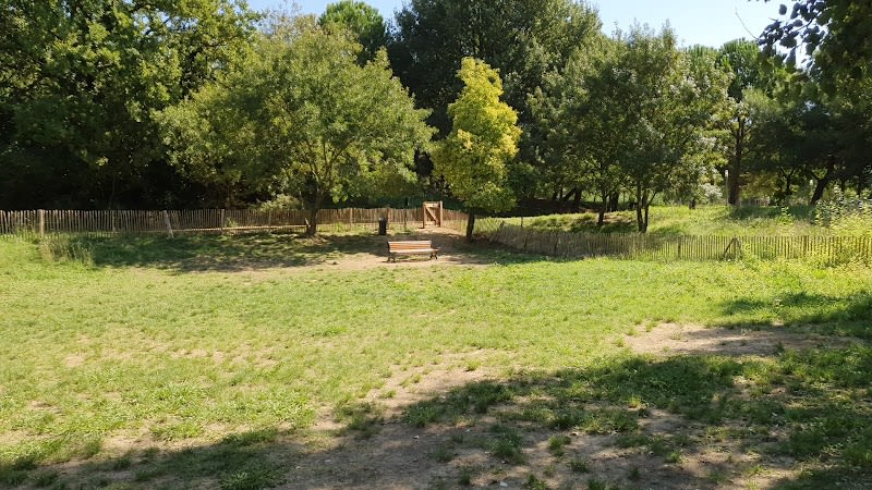 Parc à chien de la Lironde — photo