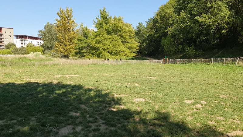 Parc à chien de la Lironde — photo