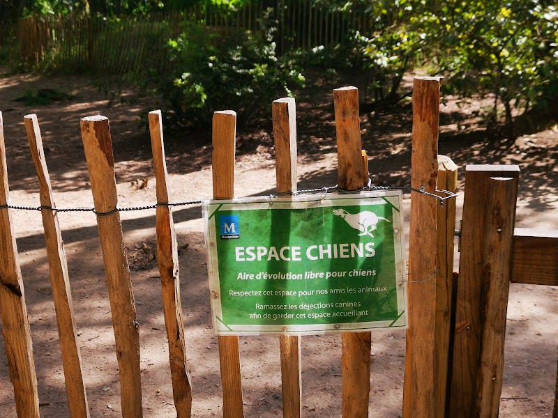 Parc à chien — photo