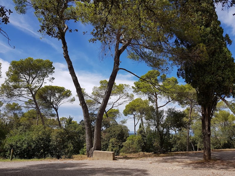 Bois de Montmaur — photo