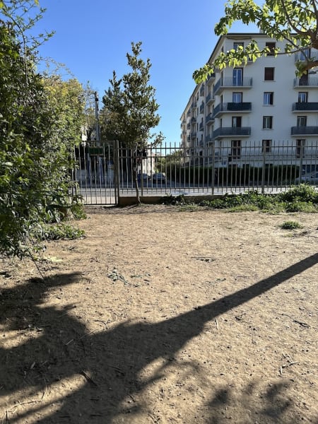 Parc à chiens Voltaire — photo