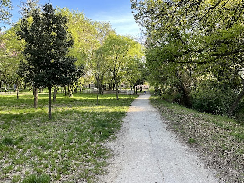 Parc Petit Bois de la Colline — photo