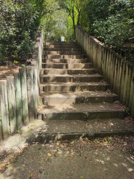Parc Petit Bois de la Colline — photo