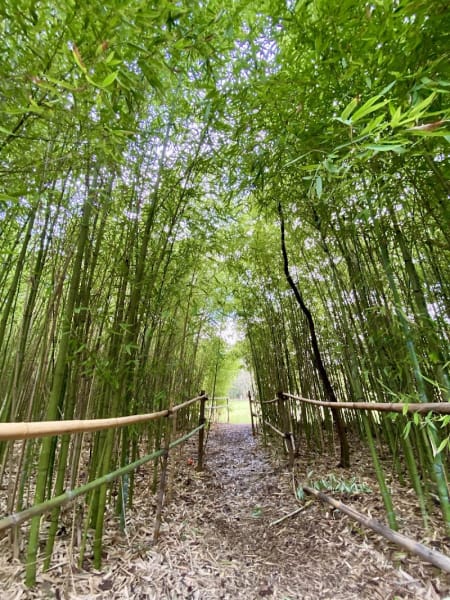 Parc du Terral — photo
