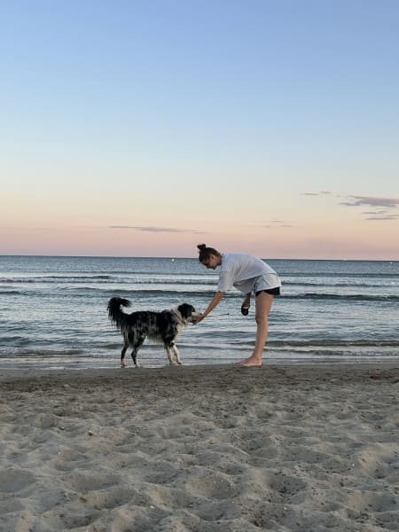Alhena Petsitting — photo