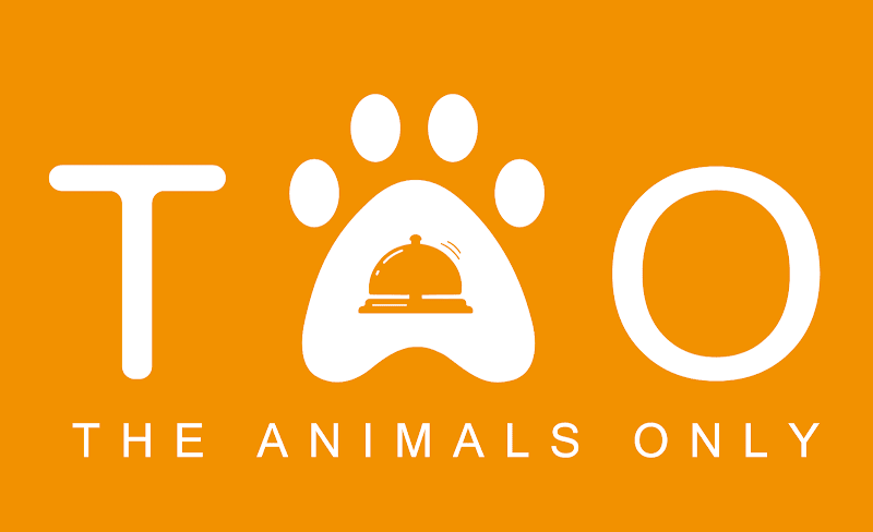 The Animals Only — photo