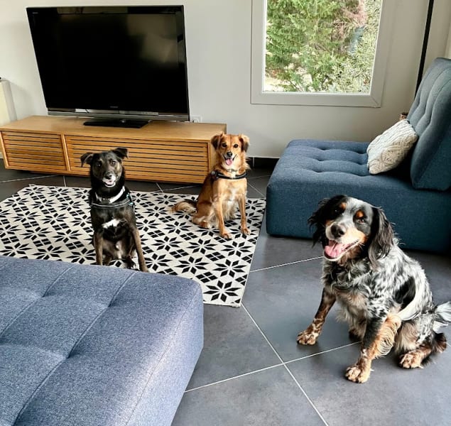 Mika Dog Lover — photo