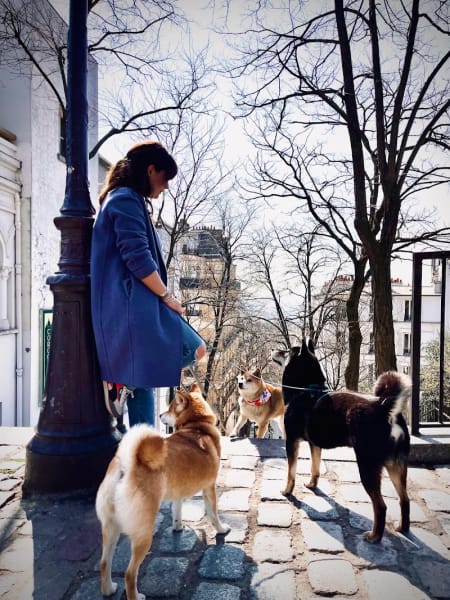 Primitif Addict - Éducation et Comportement Canin — photo