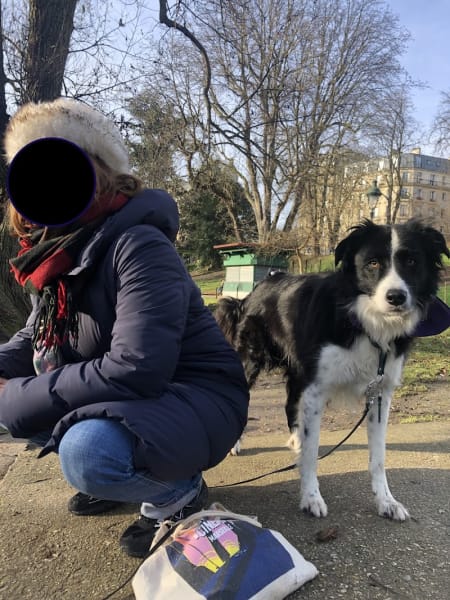 CHIENNE DE VIE / ÉDUCATRICE COMPORTEMENTALISTE CANIN / PARIS — photo