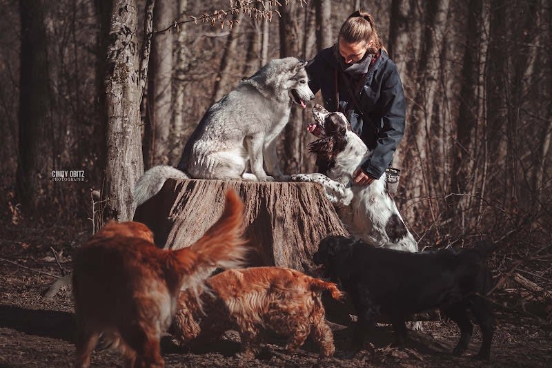 Marianne et Compagnons - Comportementaliste Chien & Chat et Educateur Canin — photo
