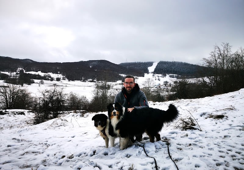 4 pattes et une truffe Educateur canin — photo