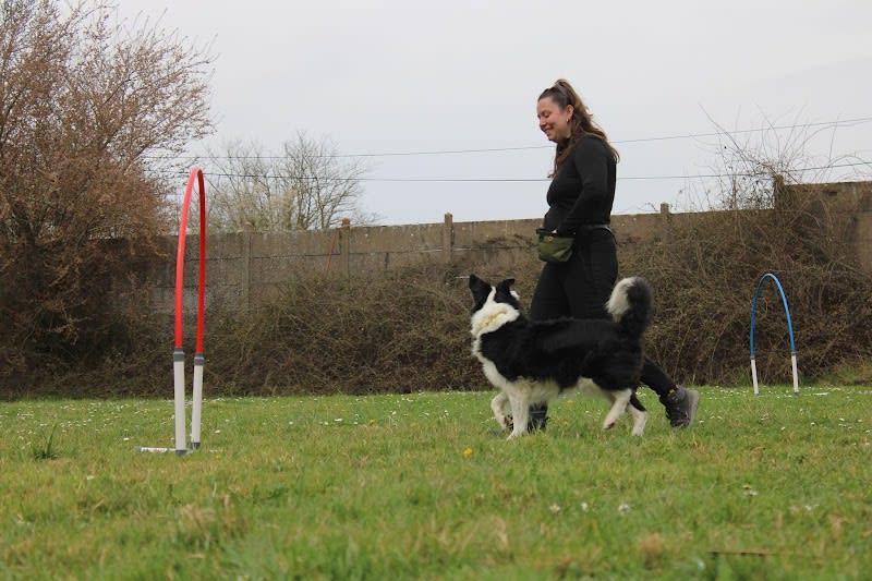 M&Educ - Éducatrice Canine & Comportementaliste Lyon — photo