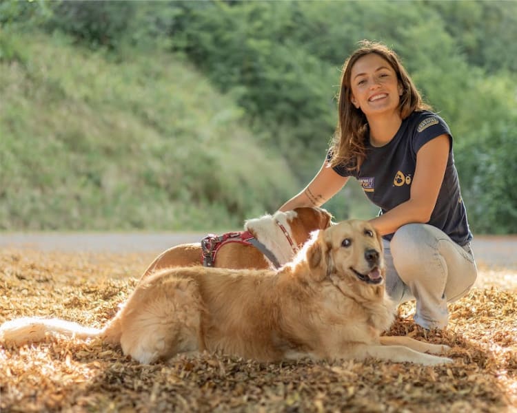 Camidog's Education Canine — photo