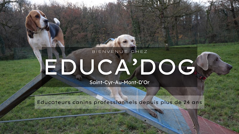 EDUCA DOG LYON — photo