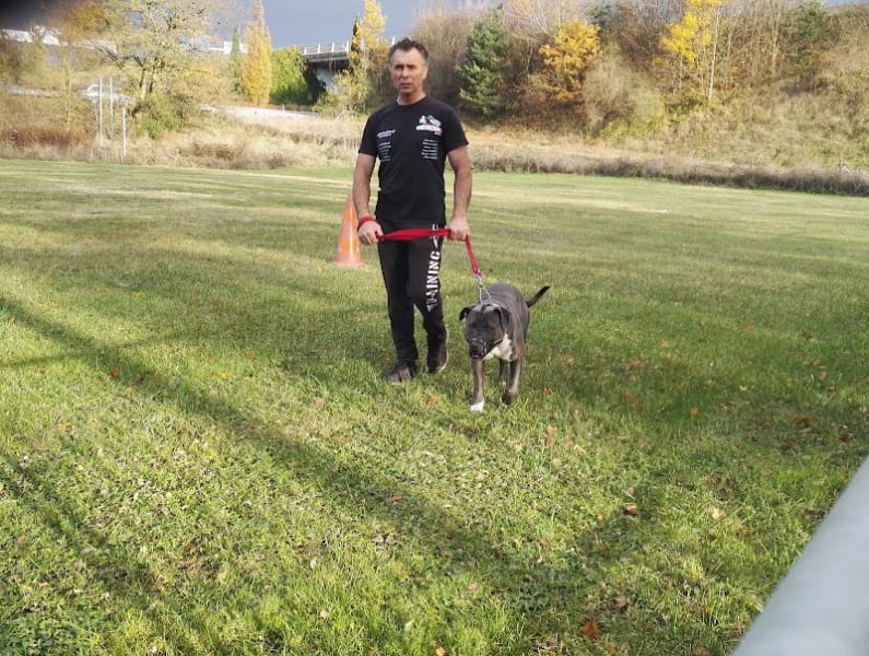 Club Canin — photo