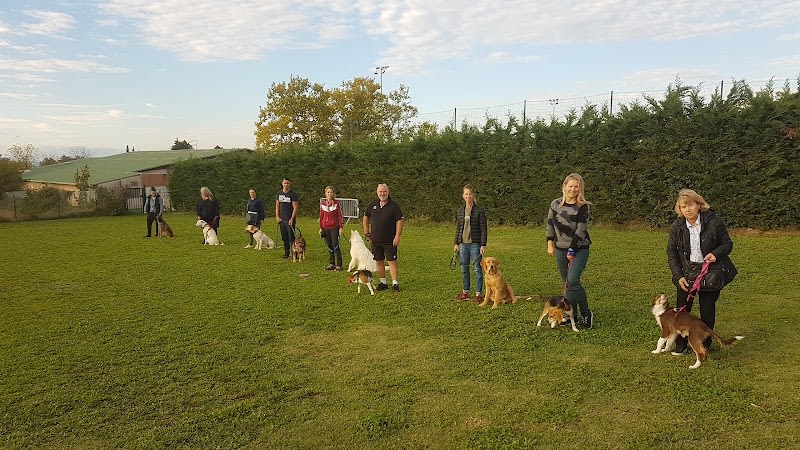 Club d'éducation canine toutes races : Amicale du Berger de Caluire — photo