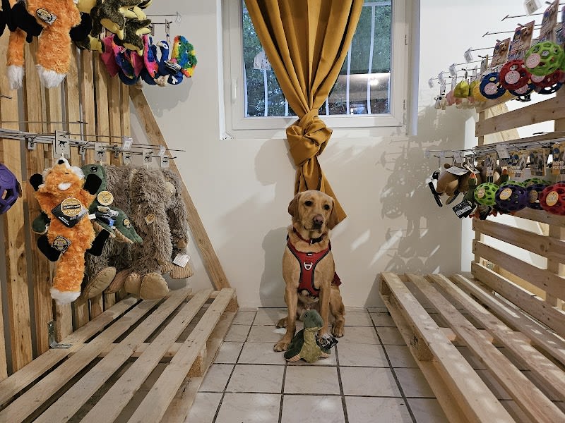 Centre canin les filous — photo