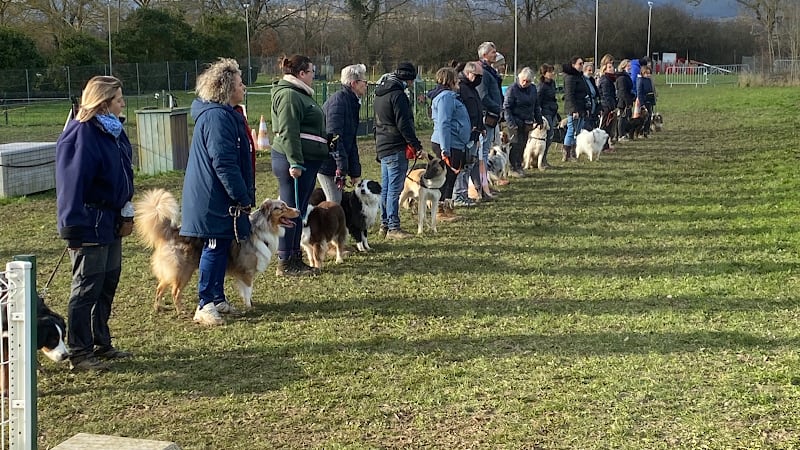 Club Canin Éducation Chiots Le 4 Pattes Club d’ARNAS — photo