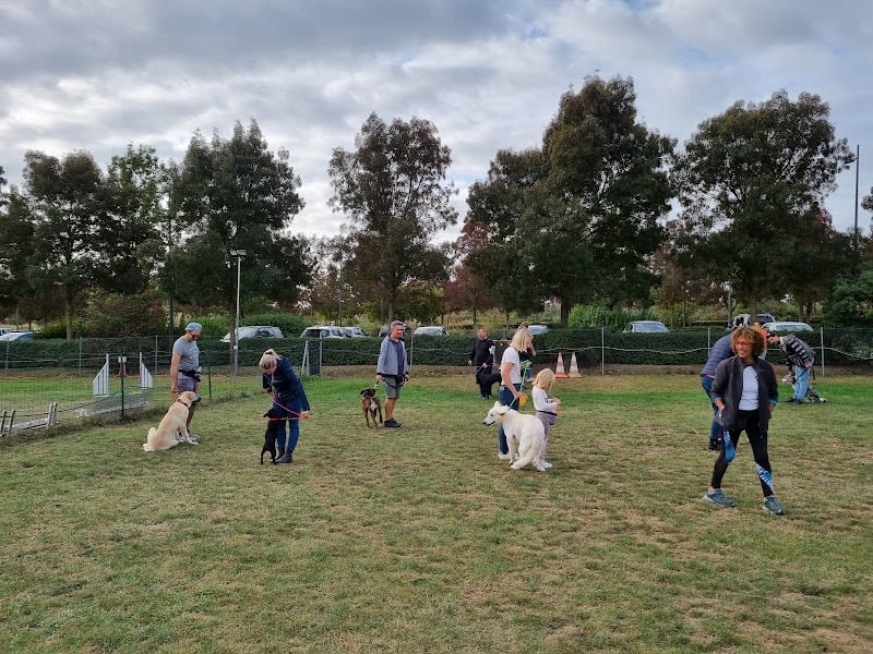 Club Canin Éducation Chiots Le 4 Pattes Club d’ARNAS — photo