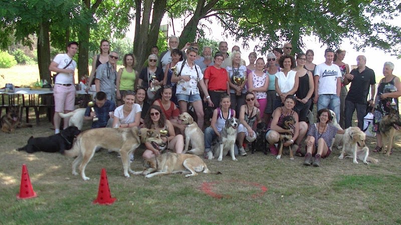 Centre d'Éducation Canine Brindas — photo