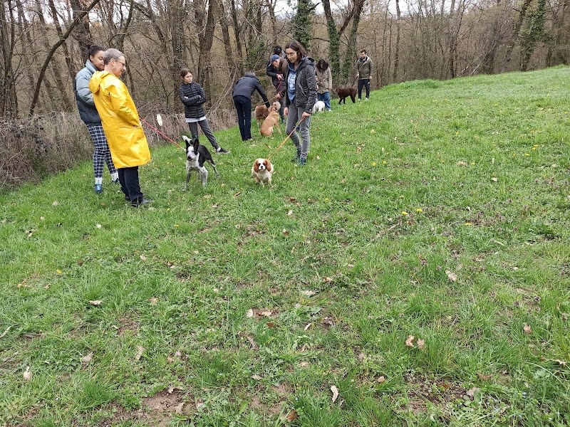 Centre d'Éducation Canine Brindas — photo