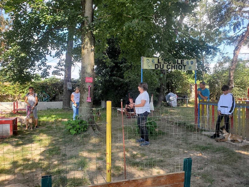 club ami des animaux - éducation canine — photo