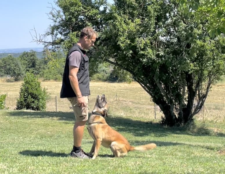 GODOG Éducation canine — photo