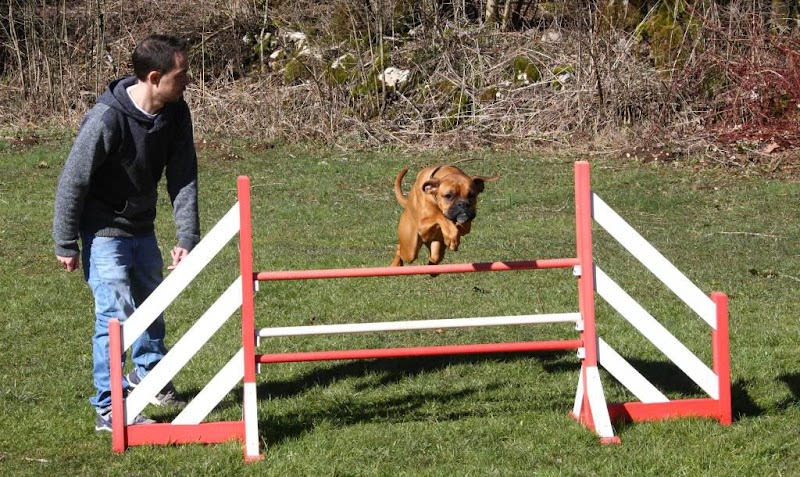 Reeducdog's — photo