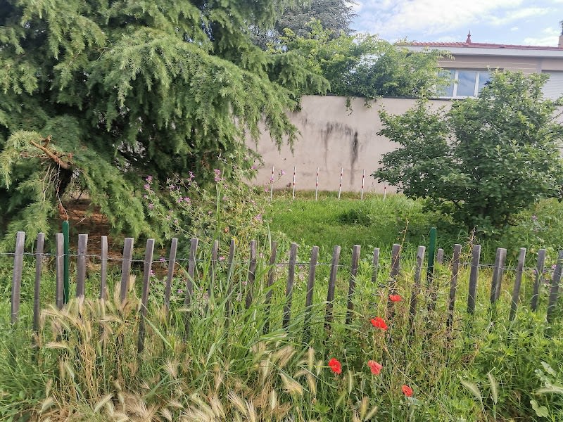Parc canin — photo