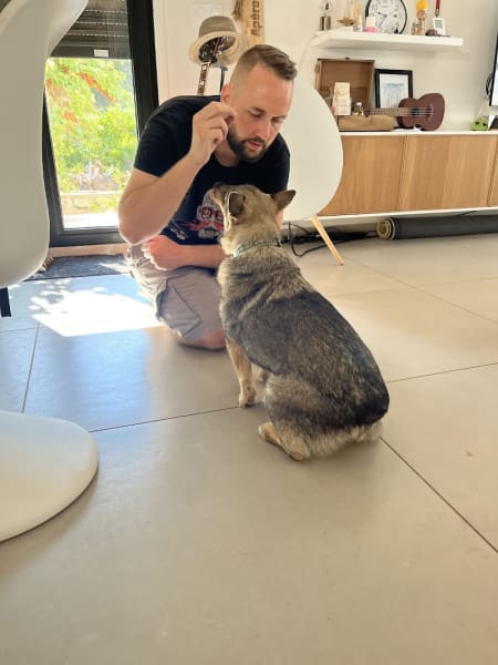 Cyno Corp - Éducateur Canin Comportementaliste — photo