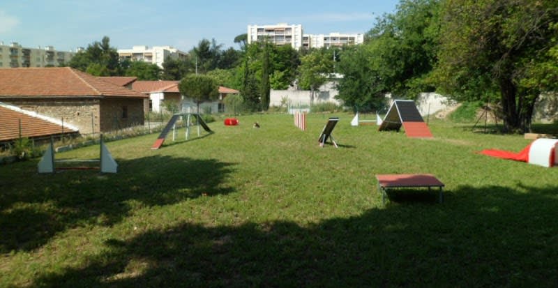 Club Canin du Soleil — photo