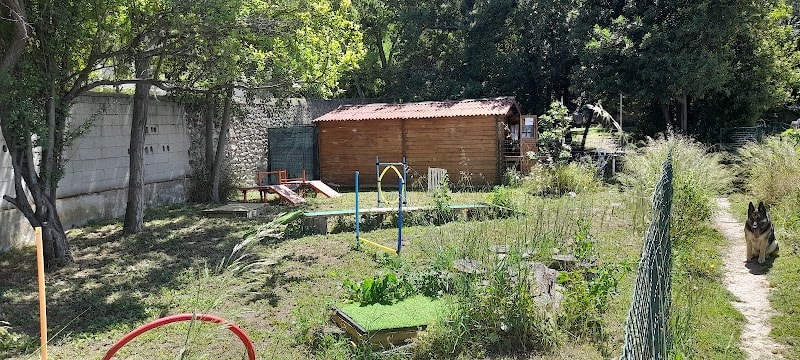Club Canin du Soleil — photo