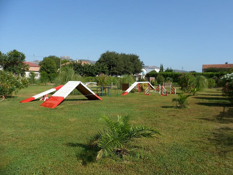 centre d'éducation canine d'Aubagne — photo