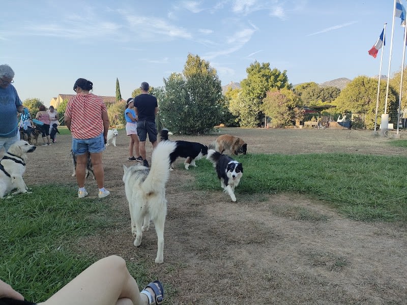 centre d'éducation canine d'Aubagne — photo