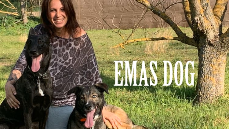 EMAS DOG — photo