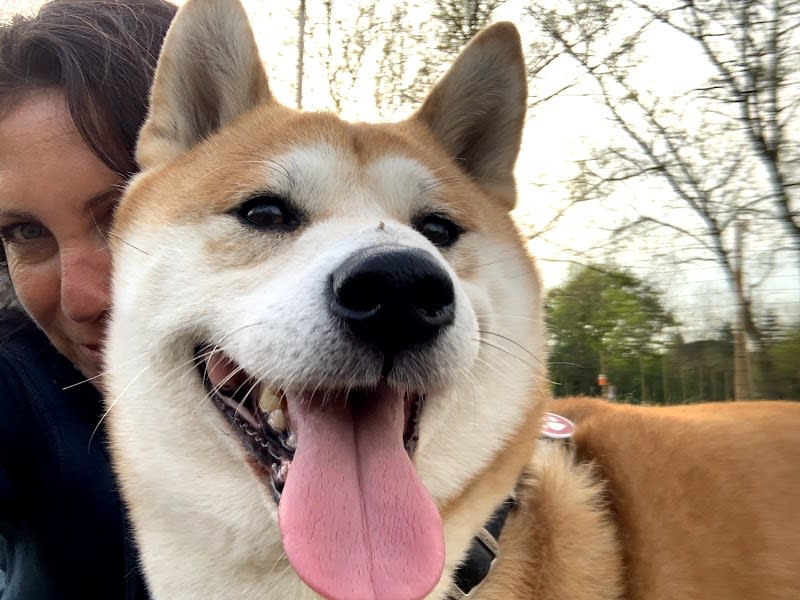 EMAS DOG — photo