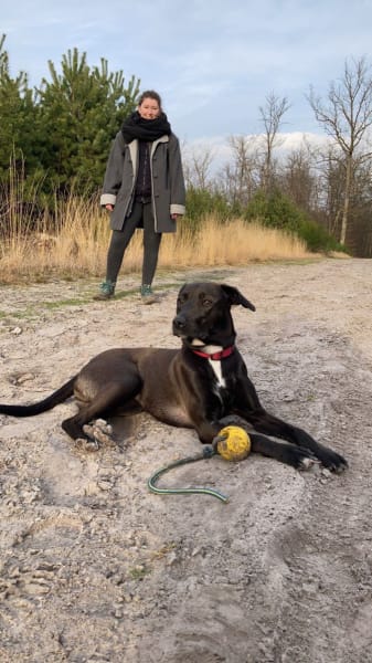 Justine Galliot - Educatrice & Rééducatrice canine — photo