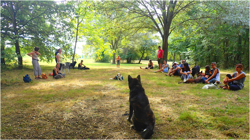Educateur canin comportementaliste Toulouse — photo