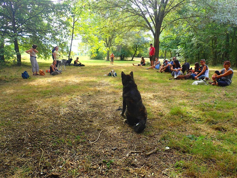 Educateur canin comportementaliste Toulouse — photo