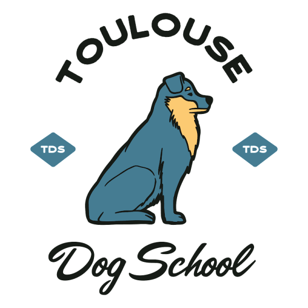 Toulouse Dog School — photo